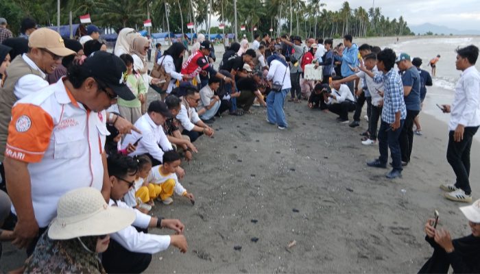 Berlangsung Meriah, Pemprov Sulbar Dorong Festival Penyu ke Kalender Event Nasional