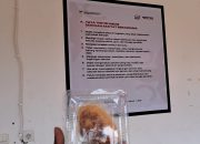 Pengelolaan Makan Siswa SR diduga Dikelola Kepala Sekolah