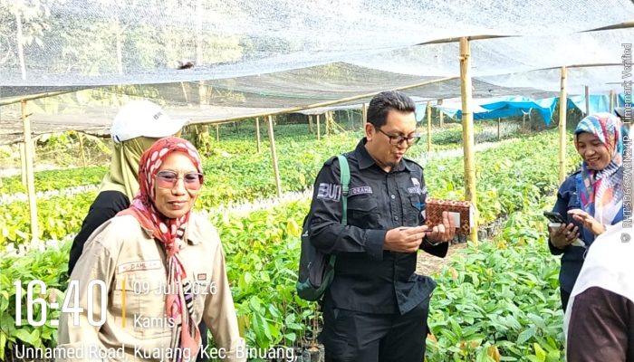 Tim Kementan RI Tinjau Penangkaran Kakao di Polman, Pastikan Kualitas Bibit Unggul