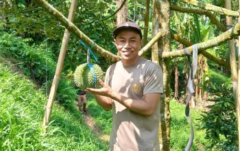 Dari Jalan Raya ke Kebun Durian: Kisah AIPDA Irham Meraup Puluhan Juta dari Hobi Bertani