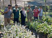 Monitoring Program Perbenihan Kakao, Inugraha Ingatkan Penyedia Bekerja Sesuai Kontrak