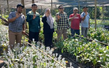 Monitoring Program Perbenihan Kakao, Inugraha Ingatkan Penyedia Bekerja Sesuai Kontrak