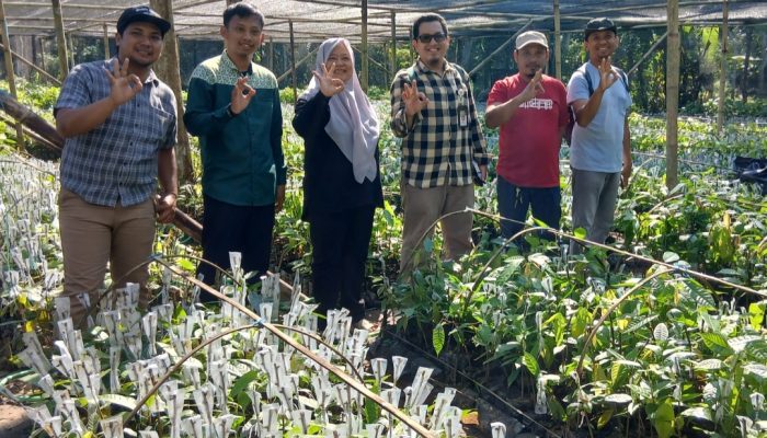 Monitoring Program Perbenihan Kakao, Inugraha Ingatkan Penyedia Bekerja Sesuai Kontrak