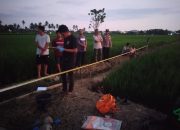 Seorang Pria Ditemukan Meninggal Dunia di Area Persawahan Desa Kuajang