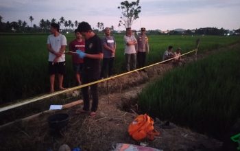 Seorang Pria Ditemukan Meninggal Dunia di Area Persawahan Desa Kuajang