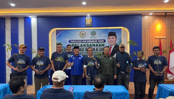 Ajbar Dorong Kebun Bibit Rakyat dan Hutan Karbon Perkuat Rehabilitasi Hutan serta Ketahanan Pangan