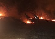 Kebakaran Lahap 5 Hektare Kebun Sawit di Polman, Satgas Karhutla Bergerak Cepat