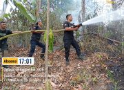Tangani Lima Kebakaran Sehari Semalam, Satgas Karhutla Damkar Polman Lanjutkan Validasi dan Perkuat Sinergi Desa Pascakebakaran